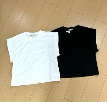 자라 티셔츠