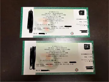 카츠마에 불꽃축제