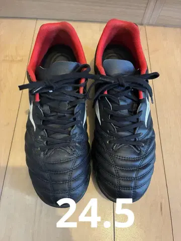 Mizuno 트레이닝 슈즈 24.5