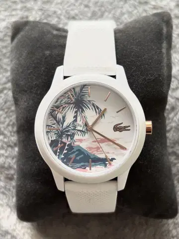 라코스테 lacoste 하와이 한정판 손목시계