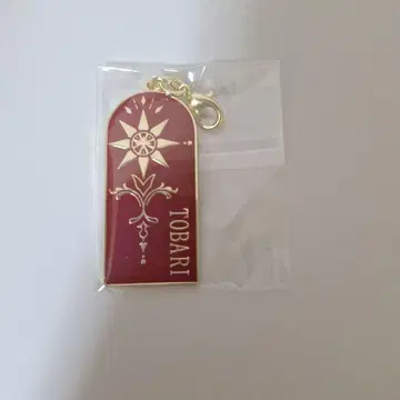 거품의 유크로니아 트레이딩 참