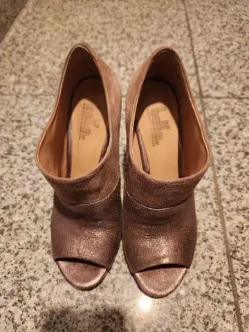 시거슨 모리슨 23cm