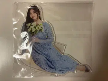 이노우에 카즈 BIG 아크릴 스탠드 NOGI 메쿠리 S상