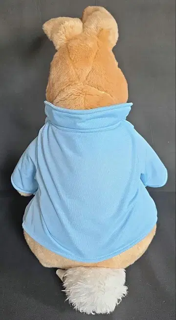 피터 래빗 봉제 인형 본체 2015년 제작