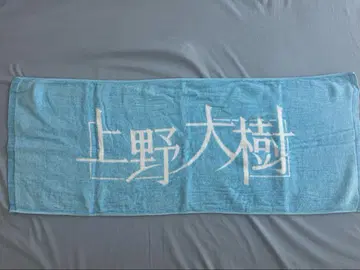 우에노 다이지 타월