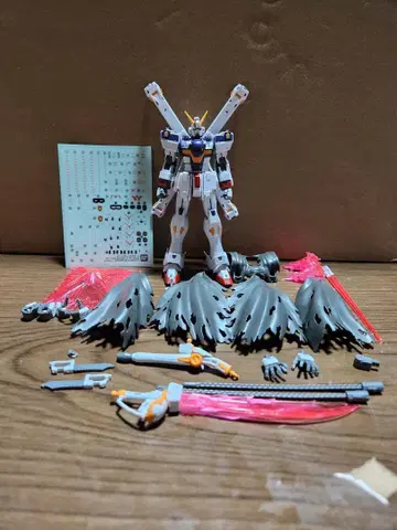 RG 크로스본 건담 X1 완성품