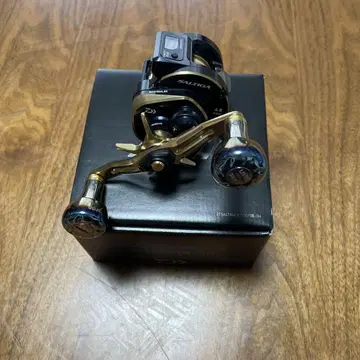 21SALTIGA IC100P L-DH 로우 기어