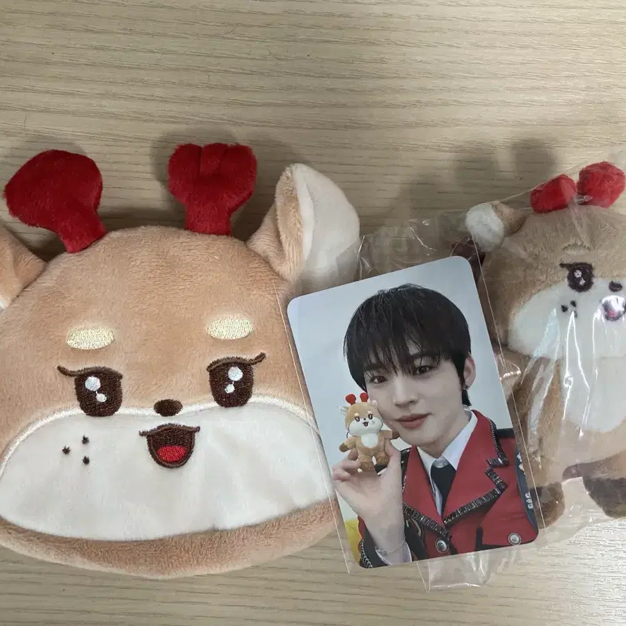 ONF ONKKOMIZ ぬいぐるみ KKYUNDoongi ONF Onkkomiz Kkyundoongi