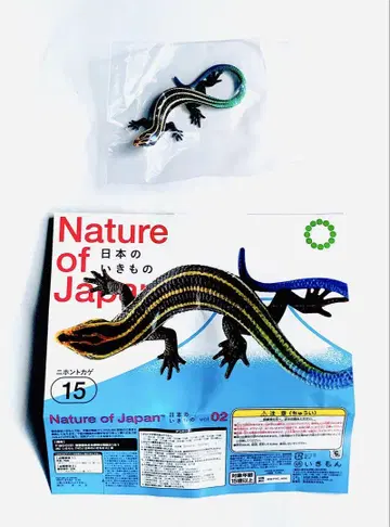 Nature of Japan 일본의 생물 02 일본 도마뱀