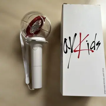 Stray Kids 공식 응원봉