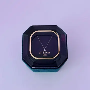 SIENA ROSE 심플 목걸이