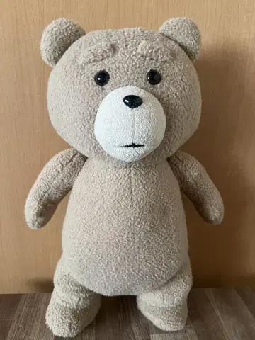 ted 봉제 인형 45cm