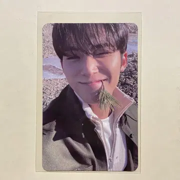 세븐틴 face the sun ep 4 path 민규