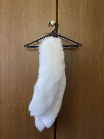 폭스풍 숄 후리소데 사전 촬영 성인식