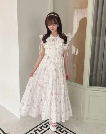 evelyn 오리지널 리본 무늬 op