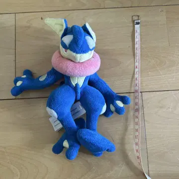 포켓몬 센터 게코우가 봉제 인형