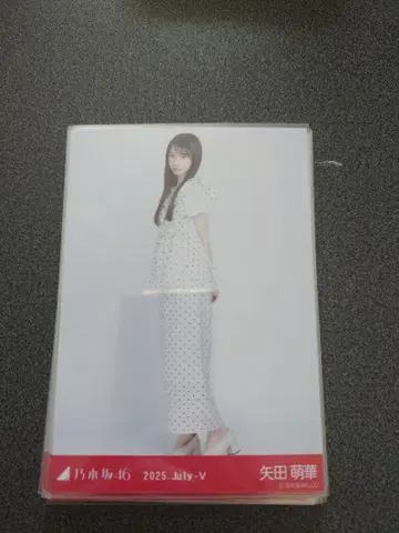 노기자카46 도트 브로마이드 27장