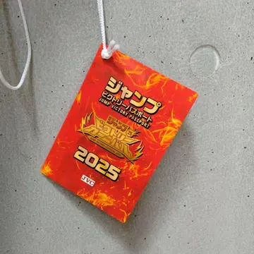 점프 빅토리 카니발 2025 여권