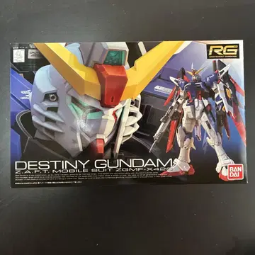 RG 데스티니 건담 ZGMF-X42S