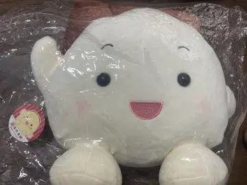 이와사키 혼포 나가사키 가쿠니 만주