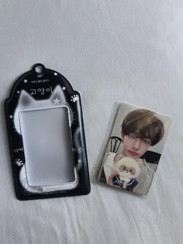 zb1 Zeroni 하니니잔하오 트레이딩 카드