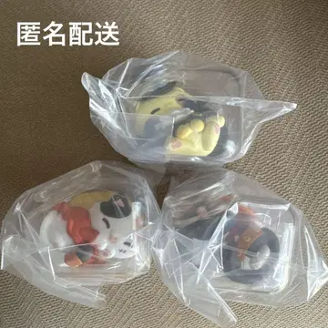 잘 자, 냥 피스 루피, 에이스, 사보