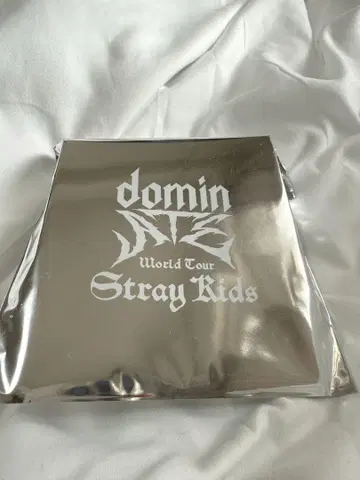 StrayKids 미니 보아 캡 리노