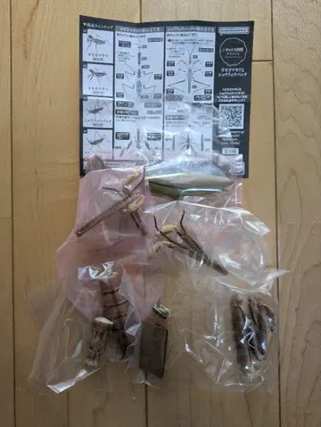 생물대도감 어드밴스 오오카마키리(갈색형)