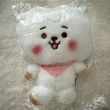 BTS rj 빈 인형 봉제 인형