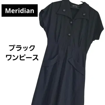 메리디안 meridian 앤티크 꽃무늬 버튼 블랙 블랙 원피스