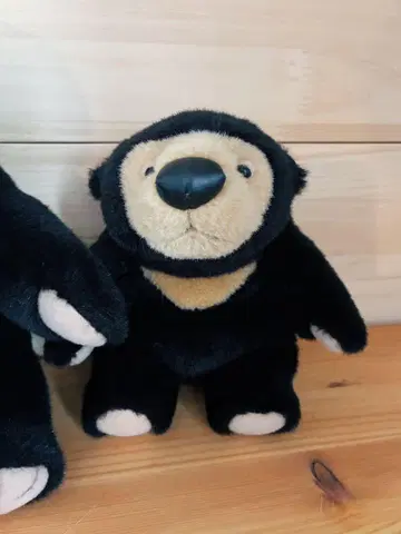 몬스이유 마레구마 봉제 인형 16cm (소)