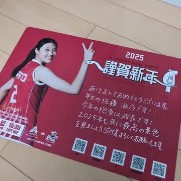 탄력 사토 요시노 NEC 레드 로켓츠 배구 여자 일본 대표