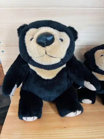 몬스이유 마레구마 봉제 인형 22cm (대)