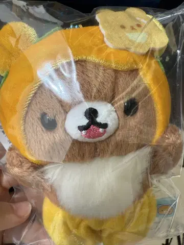 차이로이코구마 꿀 요정