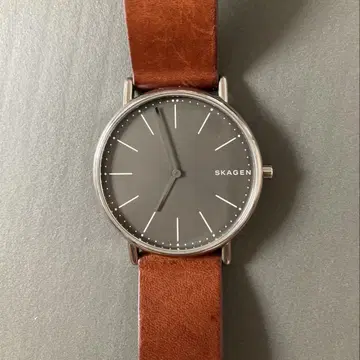 손목시계 스카겐 SKAGEN SKW6429