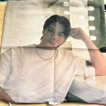159 히라노 쇼 쿠션 커버