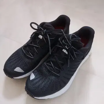 THE NORTH FACE 신발 블랙
