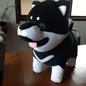 쿠로시반반 봉제 인형 높이 약 32cm 중고품/세탁 완료 ZK-4339