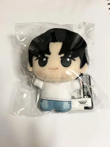TWS tws 용제 봉제 인형 SD 인형