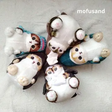 모프 샌드 mofusand 상어 5종 세트