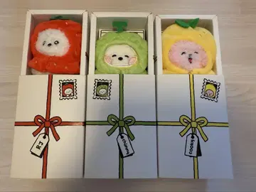 BTS minini 후르츠 RJ CHIMMY COOKY 3개 세트