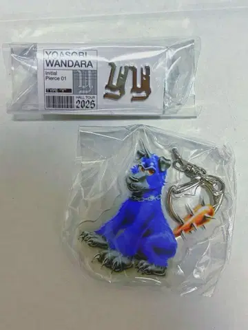 YOASOBI WANDARA 홀 투어 2025 귀걸이 Y 미사용 새상품