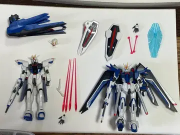 HGCE 프리덤 건담 & 라이징 프리덤 (하자품) 세트