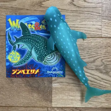 WHALES&co. 고래&co. 빅 징베