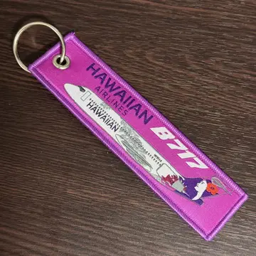 하와이안 항공 HAWAIIAN AIRLINES B717 플라이트 택