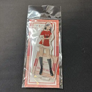 청춘 돼지들 미니 스커트 산타 빅 카메라 후지사와 아크릴 스탠드