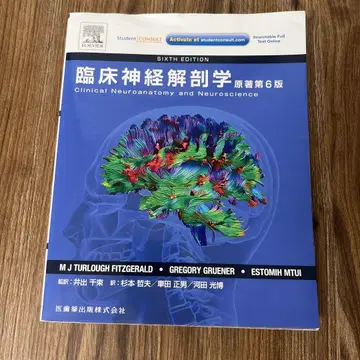 임상 신경 해부학