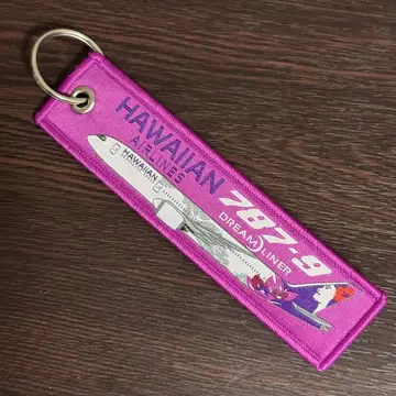 하와이안 항공 HAWAIIAN AIRLINES B787-9 플라이트 택