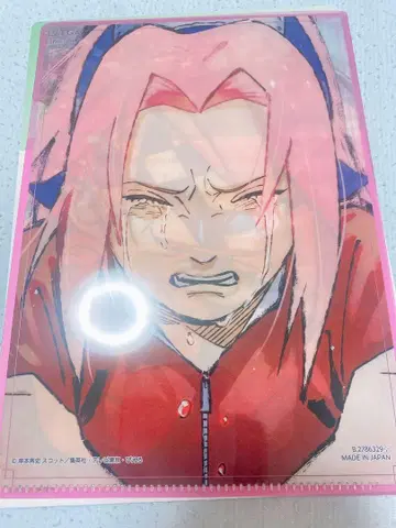 NARUTO 미사용 새상품 한정판 미니 클리어 파일 사쿠라