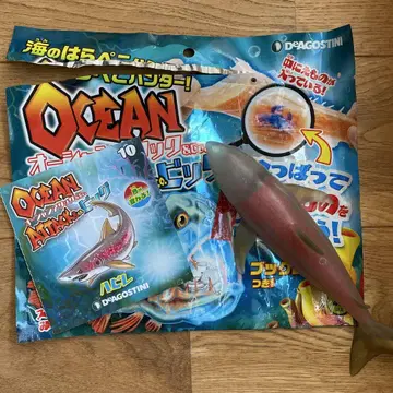 OCEAN ATTACK&co. 빅 하비레